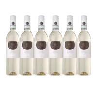 Sarmentino Pinot grigio 6 flessen