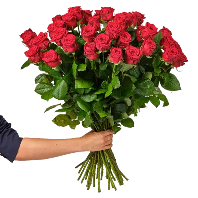 pdp-image-AH Rode rozen 30 stuks