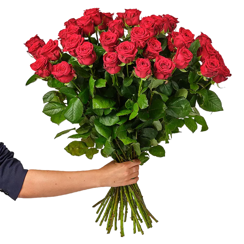 AH Rode rozen 30 stuks