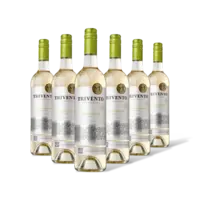 Trivento Pinot grigio 6 flessen