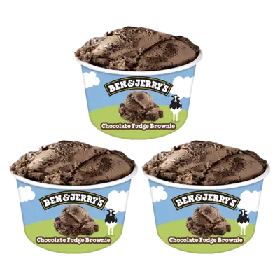 pdp-image-Ben & Jerry's Chocolate fudge brownie 3-pack