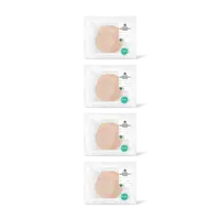 AH Scharrel gerookte kipfilet kleintje 4-pk
