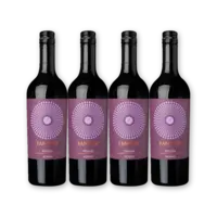 Fantini Puglia Rosso 4 flessen