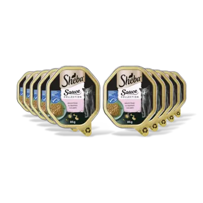 pdp-image-Sheba Saucelovers in saus zalm 10-pack