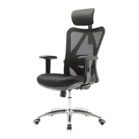 Lifegoods Ergonomische bureaustoel extra support