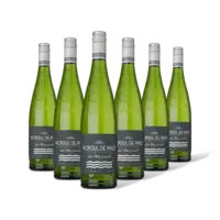 Picpoul de Pinet Les mouginels 6 flessen