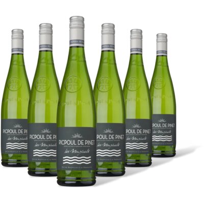 pdp-image-Picpoul de Pinet Les mouginels 6 flessen