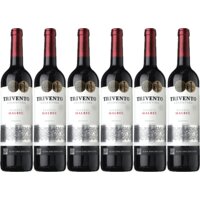 Een afbeelding van Trivento Malbec 6 flessen