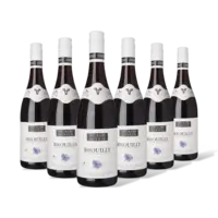 Georges Duboeuf Brouilly 6 flessen