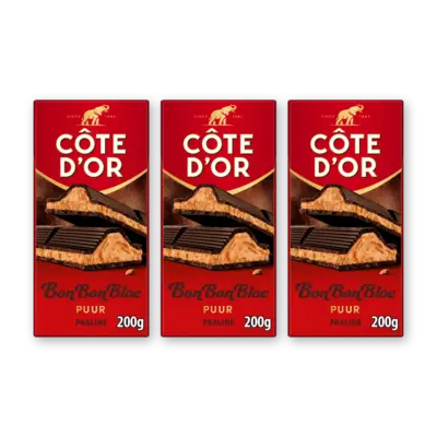 pdp-image-Côte d'Or BonBonBloc praliné puur 3-pack