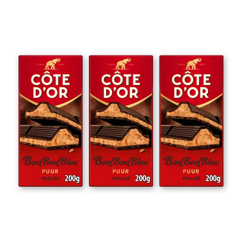 Côte d'Or BonBonBloc praliné puur 3-pack