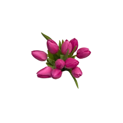 pdp-image-AH Tulp roze