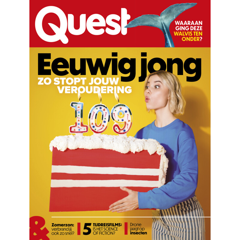 Quest