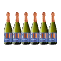 Hola! Cava brut alcoholvrij 6 flessen