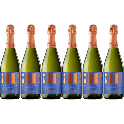 pdp-image-Hola! Cava brut alcoholvrij 6 flessen
