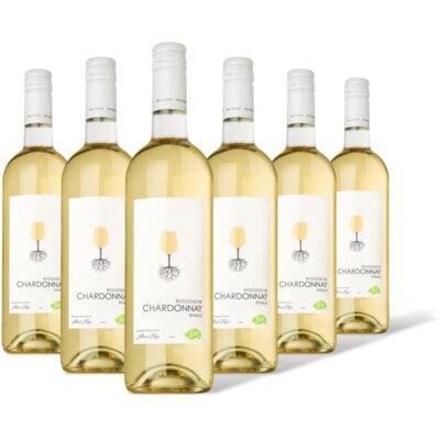 pdp-image-AH Biologisch Chardonnay 6 flessen