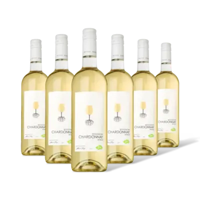 pdp-image-AH Biologisch Chardonnay 6 flessen