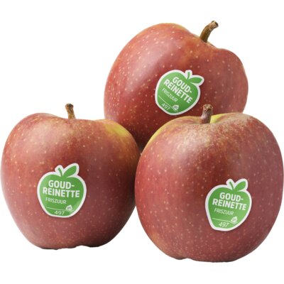 pdp-image-AH Goudreinette