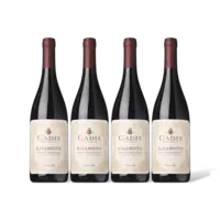 Cadis Amarone della Valpolicella 4 flessen