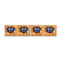 S. Pellegrino Aranciata 6-pack 4-pack