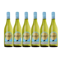 Brancott Estate sauvignon blanc 6 flessen