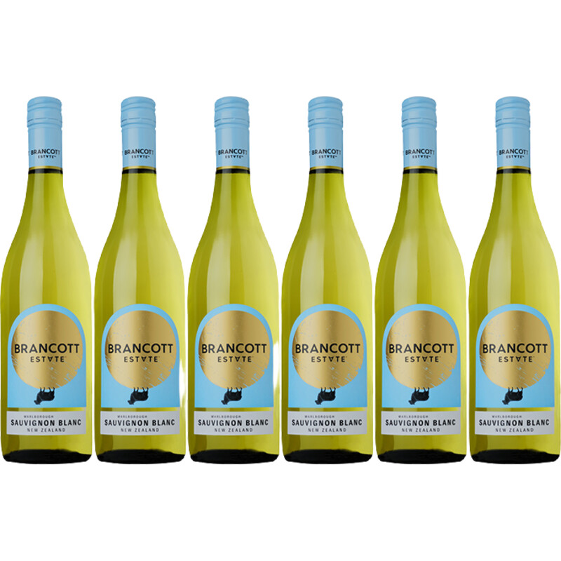 Een afbeelding van Brancott Estate sauvignon blanc 6 flessen