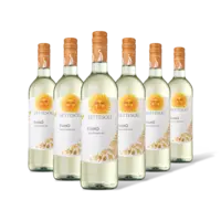 Settesoli Fiano 6 flessen