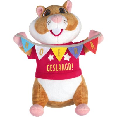 pdp-image-AH Hamster geslaagd