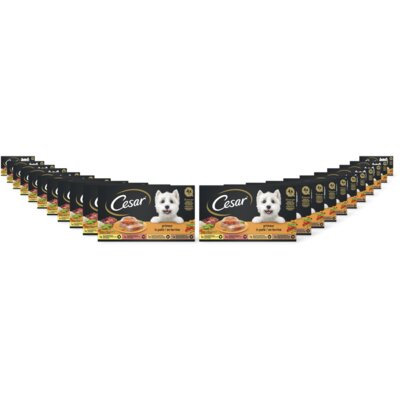 pdp-image-Cesar Hondenvoer nat primeur 22-pack