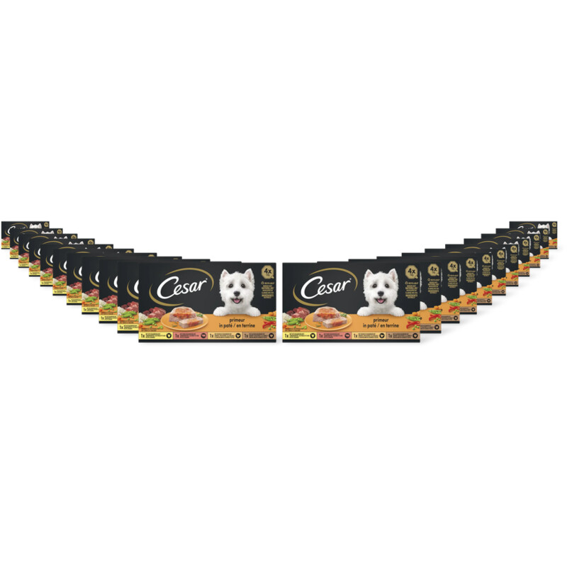 Cesar Hondenvoer nat primeur 22-pack