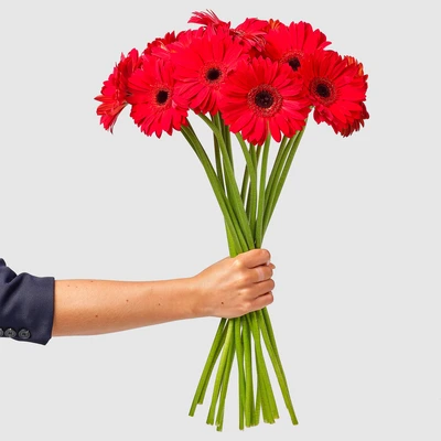 pdp-image-AH Gerbera rood