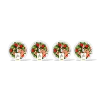 AH Stoommaaltijd zalm roomsaus 4-pack