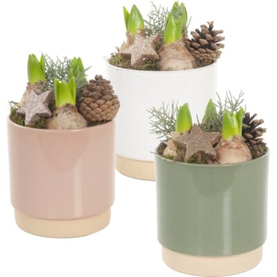 pdp-image-AH Hyacint in keramieken pot