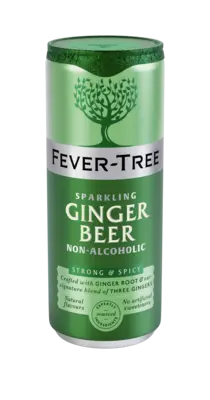 pdp-image-Fever-Tree Sparkling ginger beer