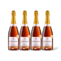 AH Excellent Champagne brut rosé 4 flessen
