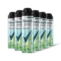 Rexona Men cooling iced lemon & sage 6-pack