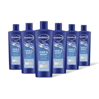 Andrélon Men hair & body shampoo 6-pack