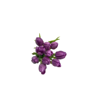 pdp-image-AH Tulp wit paars