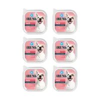 AH Pate met rund 6-pack