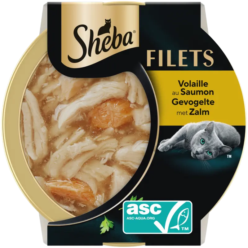 Filets gevogelte met zalm