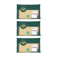 AH Zaanlander Extra belegen 48+ plakken 3-pack