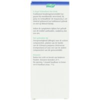 Een afbeelding van A.Vogel Echinaforce hot drink siroop