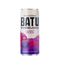 Batu Kombucha forest fruits