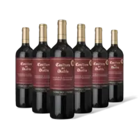 Casillero del Diablo Reserva especial cabernet sau 6 flessen