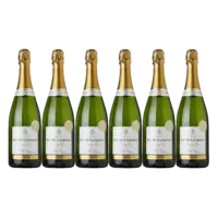 AH Excellent Selectie champagne brut Cru 6 flessen