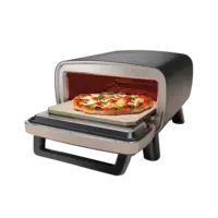 Ninja Pizza oven