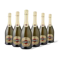 Martini Prosecco doc 6 flessen