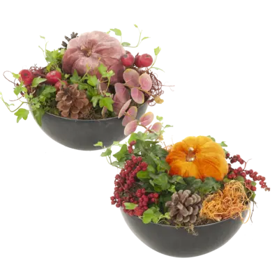 pdp-image-AH Pompoen arrangement