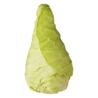 AH Spitskool