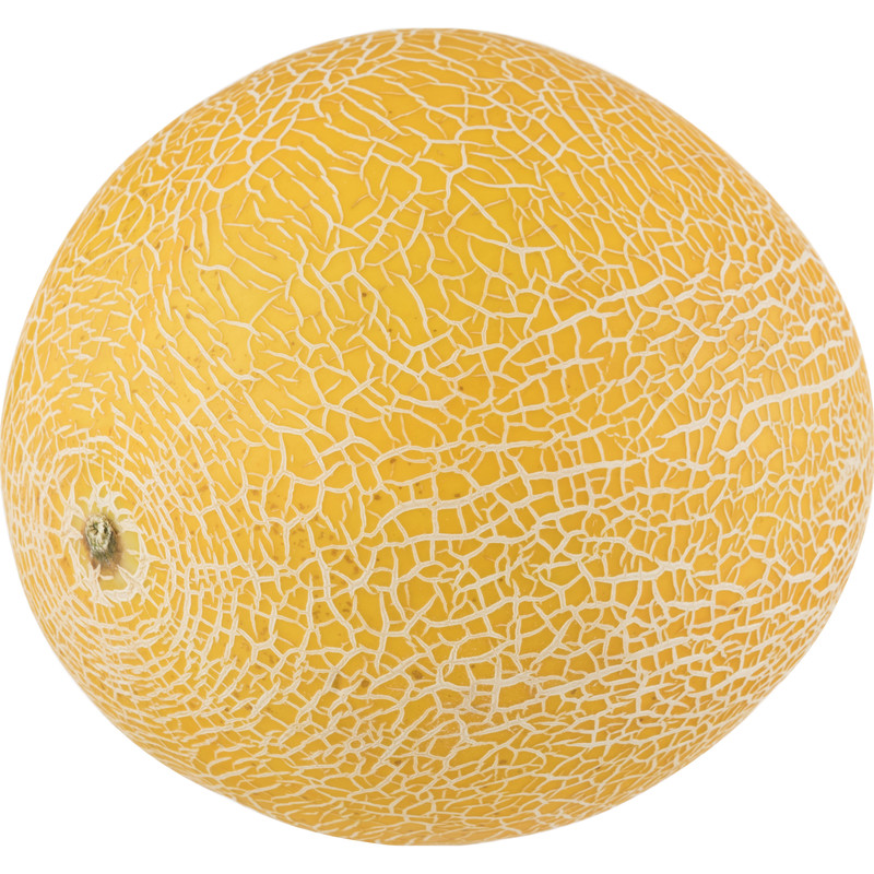 Een afbeelding van AH Galia meloen